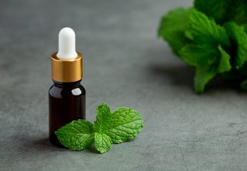 Olio essenziale di Menta piperita: propriet&agrave;, utilizzi e controindicazioni